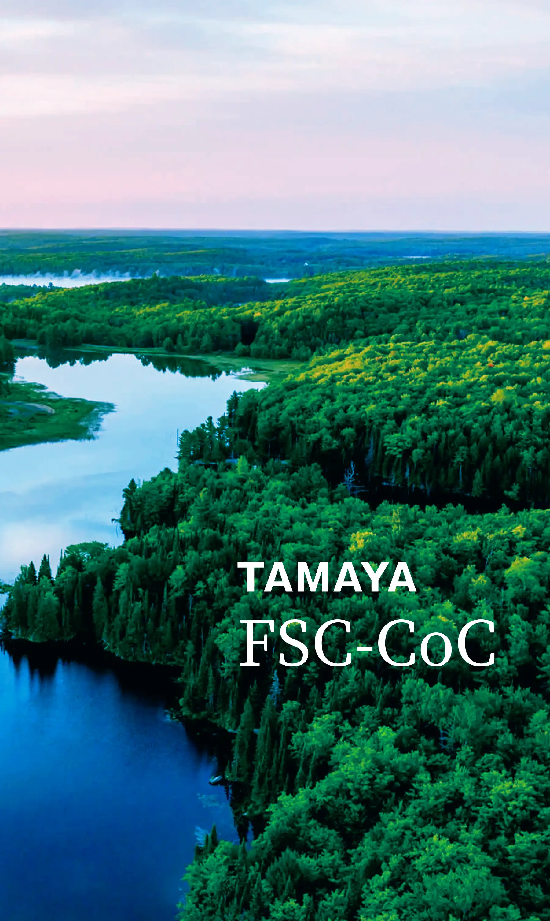FSC-CoC