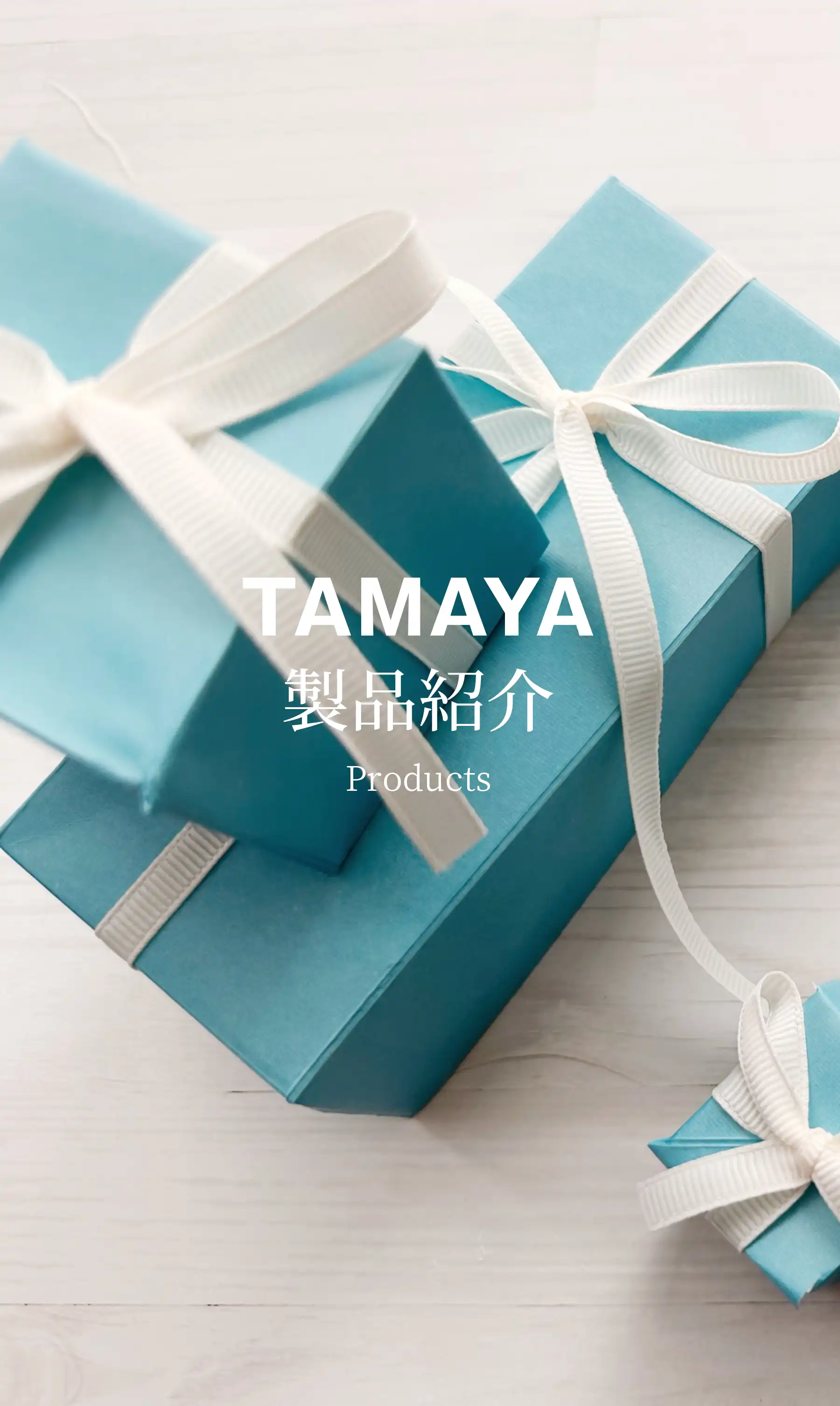 製品紹介