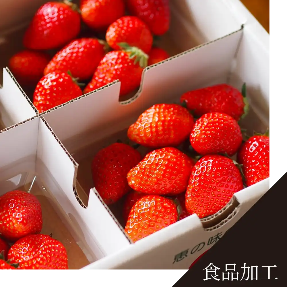 食品加工